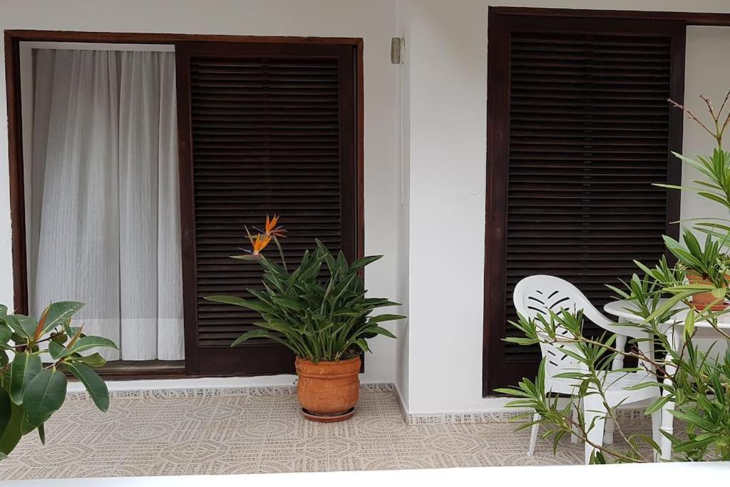 Apartamento Luminoso Con Patio Y Jardin Puerto de la Cruz  Eksteriør bilde