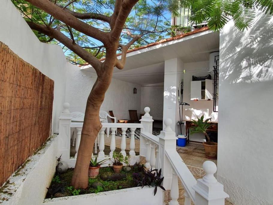 Apartamento Luminoso Con Patio Y Jardin Puerto de la Cruz  Eksteriør bilde
